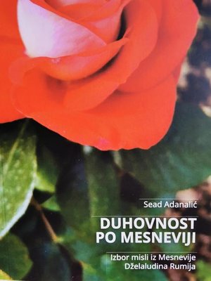 cover image of Duhovnost po Mesneviji